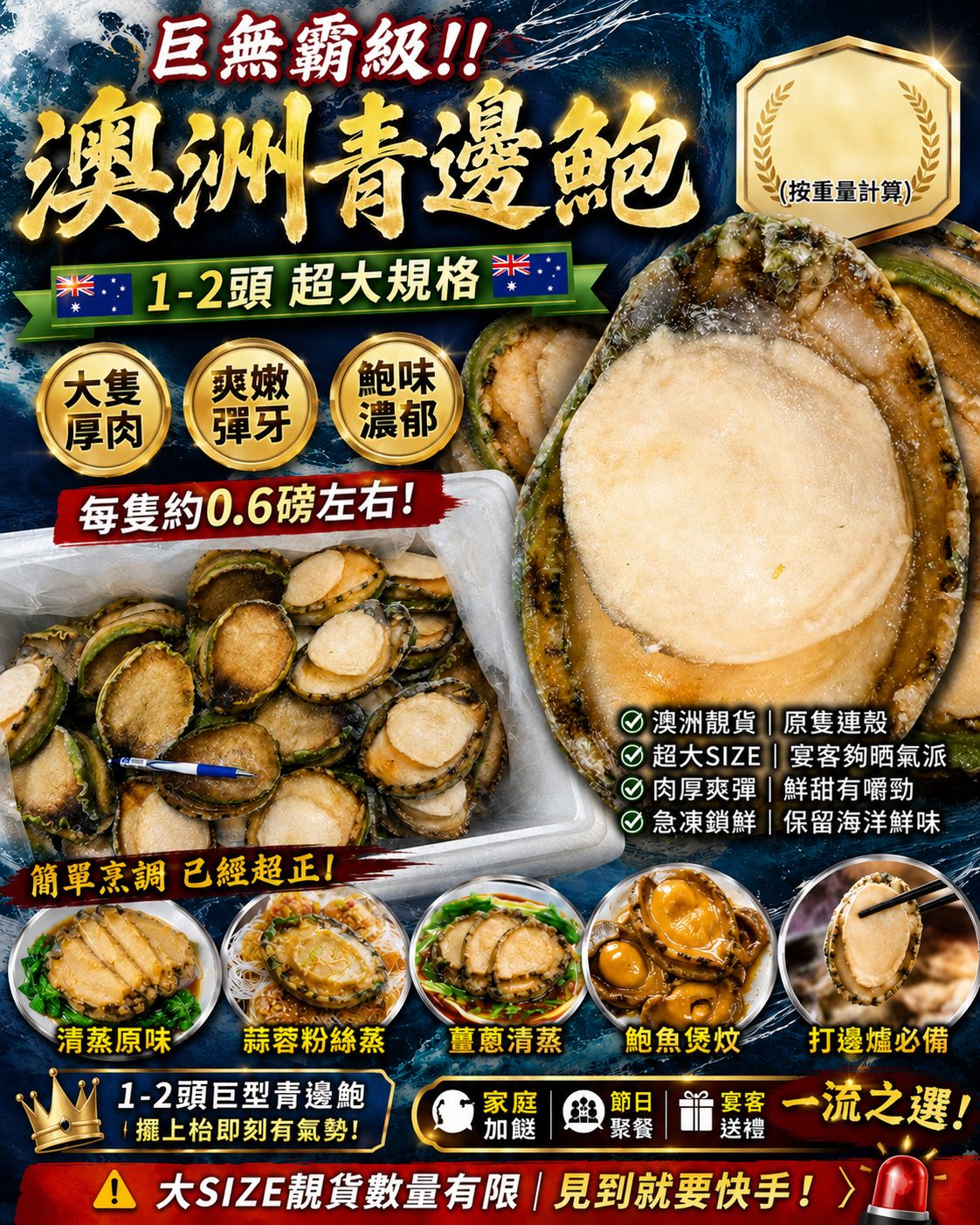 澳洲青邊鮑 1–2頭