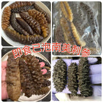 發好南美刺參 (一磅)