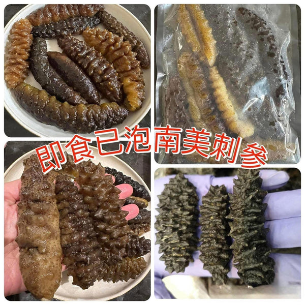 發好南美刺參 (一磅)