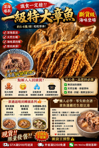 一級特大章魚乾