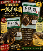 一級羊肚菌（特大號 7-9cm・半磅裝）