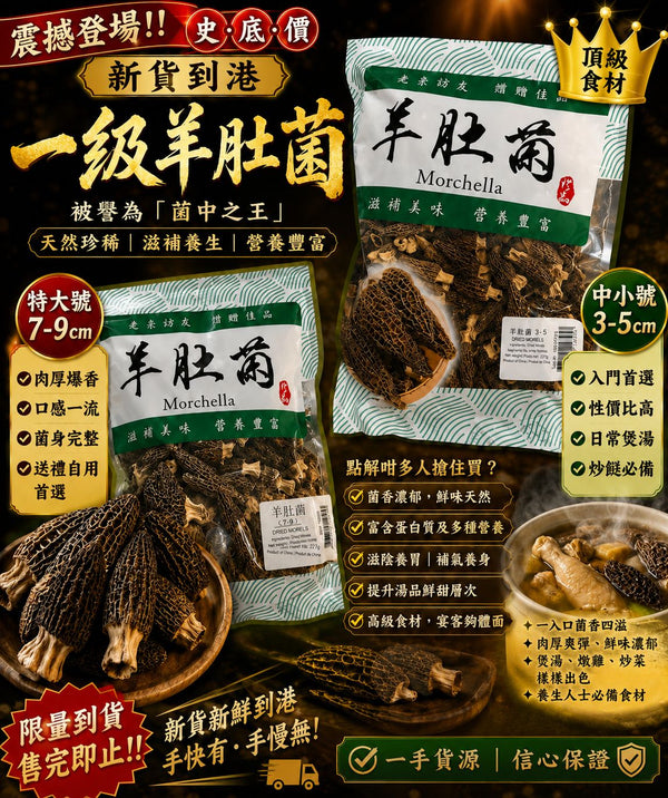 一級羊肚菌（特大號 7-9cm・半磅裝）