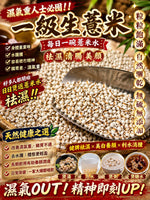 一級生薏米（2磅裝）
