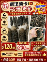 斯里蘭卡禿參 75頭（1磅裝）