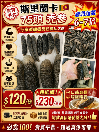 斯里蘭卡禿參 75頭（1磅裝）