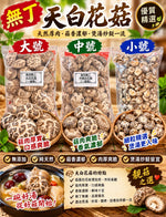 無丁天白花菇