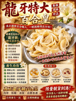 龍牙特大百合皇 (1磅)