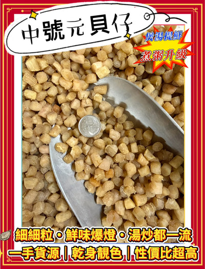 M 中號元貝