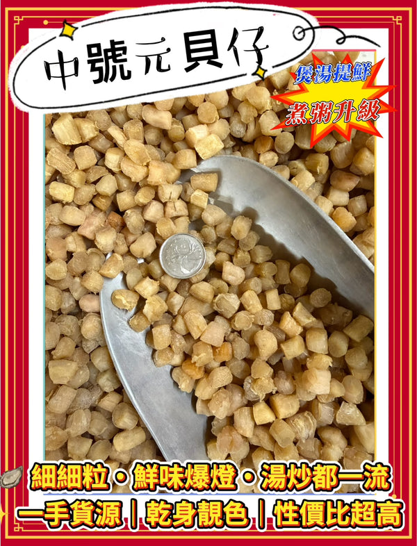 M 中號元貝