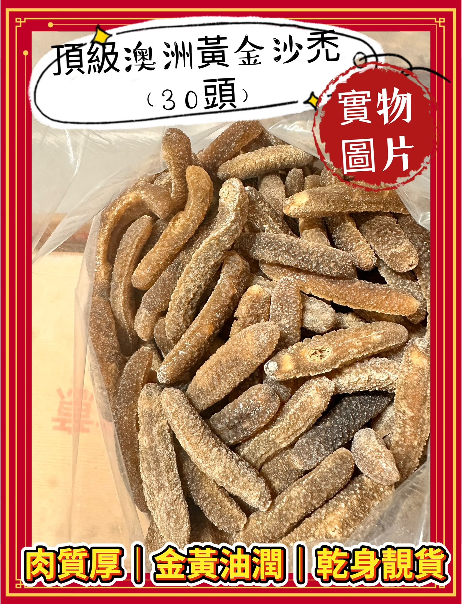 澳洲黃金沙禿（30頭）
