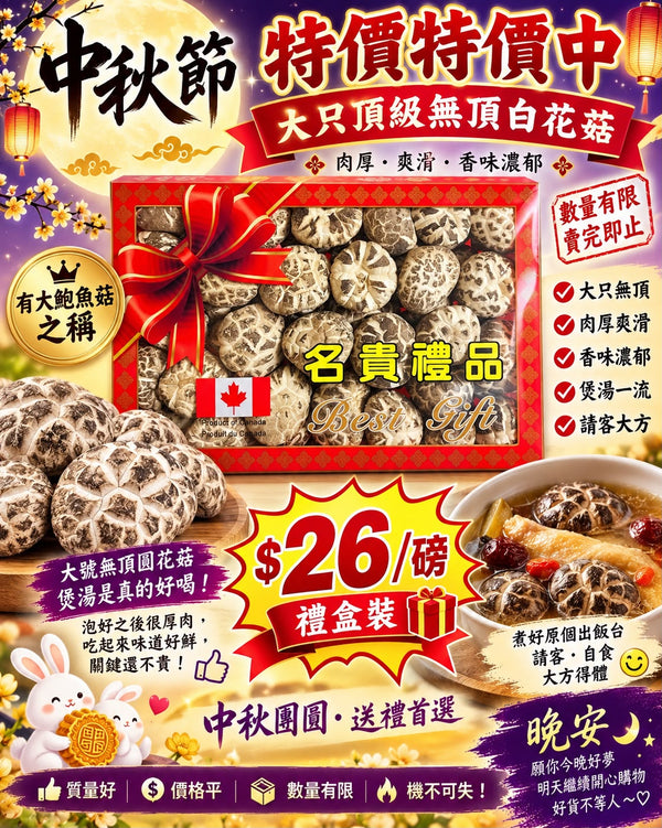 大粒頂級無頂白花菇