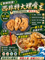 西非特大螺嘴 (一磅)